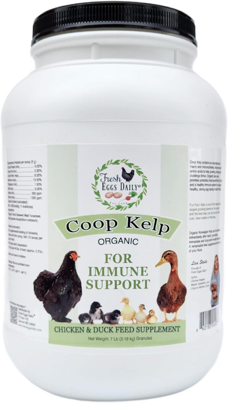 Fresh Eggs Daily Coop Kelp: Organic Feed Supplement with Vitamins for Backyard Chickens & Ducks, 7LB