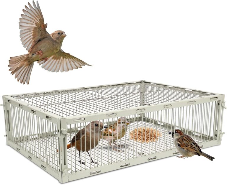 Universal Sparrow Trap Cage: Escape-Proof Bird Catcher for Starlings, Quail, Cardinals | Rust-Resistant Metal